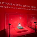 [중구/동대문]성인이 다녀온 헬로키티 50주년 특별전 찐 후기🫶🏻, 굿즈 종류🎁
