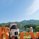 브루다 양주 이미지