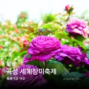 안산솔밭길산악회 특별여행.5/31일.다섯째주 일요일에.곡성 기차마을 세계 장미축제 여행. 이미지