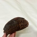나누미할인마트 | 대전 빵지순례 로로네베이커리 메뉴, 리본 패스트리 종류, 가격, 만겹크로와상&amp;더티초코 후기