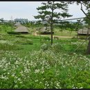 오이도선사유적공원 이미지