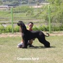 카사노바에리켄넬 이미지