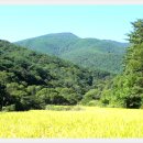 탑골마을 이미지