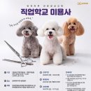 51 올치올치