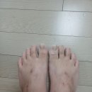 사랑아트+중동사랑아트유치원 | 부천네일 부천네일샵 부천발각질 중동역네일 송내네일 손끝 꽃에서 페디아트받은 후기