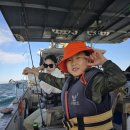 일송활어회 이미지