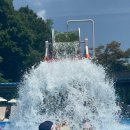 용인대석사명품태권도 이미지