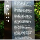 2016년 10월8일 정기산행 북설악 금강산 화암사 신선봉(강원, 고성군),인제 원대리 자작나무숲길 이미지