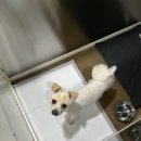 산들동물병원 이미지