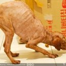 남창원동물병원 이미지
