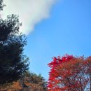 전곡읍 행정복지센터 | 전곡읍행정복지센터