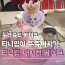뚜레쥬르청라센타시아점 | 다 품절이라는 어린이날 가정의달 뚜레쥬르 티니핑 케이크 다이아나핑 이클립스핑 매지컬 케이크 구매후기