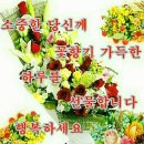 토요일 이미지