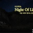 코드엠