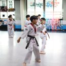 한미태권도장 이미지