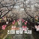 버스전용차로(5) | 2026 진해 벚꽃 축제 로망스 다리 현재 개화율 및 방문팁(셔틀버스)