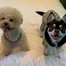 하늘N펜션 이미지