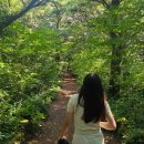 비자림 | 제주도 산림욕 명소 비자림 입장료와 스탬프 방문후기