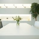 피부미인(인셀덤) 이미지