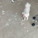 개린이살롱 이미지