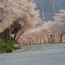아산그라시아