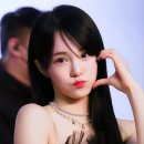 그룹퍼즐 이미지