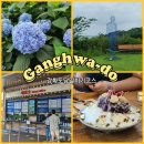 해든들깨칼국수 | 강화도 당일치기 여행코스 | 도레도레-하얀꽃메밀-해든뮤지엄-루지-드리우니 빙수