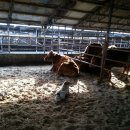 건우 농장 이미지