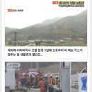 일본 산불 근황 이미지