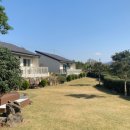 서쪽강생이 이미지