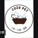 캐피토리움 | (평택, 강아지, 고양이, 애견미용, 추천!) 코지펫 평택 코지펫, 야간미용 가능