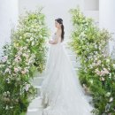 트윈스붙임머리 이미지