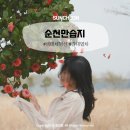 순천만여행 | 순천만습지 생태체험선 4월 5월 갈대열차