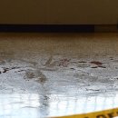 관악경찰서 이미지