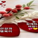 건강과행복