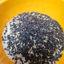 밥하는집 | 잡곡밥 효능, 풍년압력밥솥 밥하는법으로 매일 밥하는 집의 현실 후기