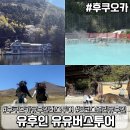 EG투어버스 C코스 | 후쿠오카 유후인 버스투어 추천 | 유유버스투어 유후다케·벳푸·다자이후 내돈내산 후기