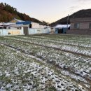 성북1리 마을회관 이미지