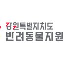 푸른바다독스쿨 이미지