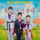 용인대 현대태권도 이미지