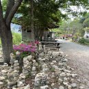 성희목장 | 가평여행:: 성희네집 숯불닭갈비&amp;더덕구이&amp;퐁듀 찐맛집 후기 믿고 보세요ㅎㅎ