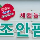 조안 농장 이미지