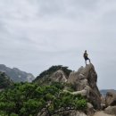 은평-066 네이버블로그