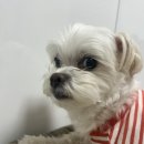 여주-0719 네이버블로그