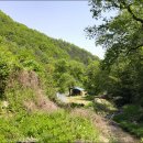 대광농장 이미지