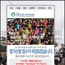 공항국제체육관 | 제주 마라톤 대회, 2025제주감귤국제마라톤대회 접수, 2025아름다운제주국제마라톤 대회 마감