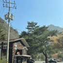 영남알프스 8봉 인증 영축산 - 신불재 - 신불산 최단거리 소요시간 등산코스 주차장