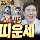 천비궁