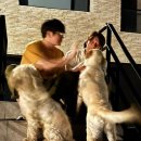 쓰담쓰담 이미지