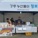 청년농부송고랑